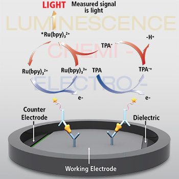 Electrochemiluminescence