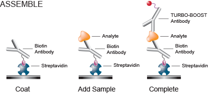 Assemble the immunoassay