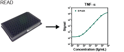 Read assay on an MSD instrument