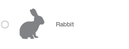 Rabbit